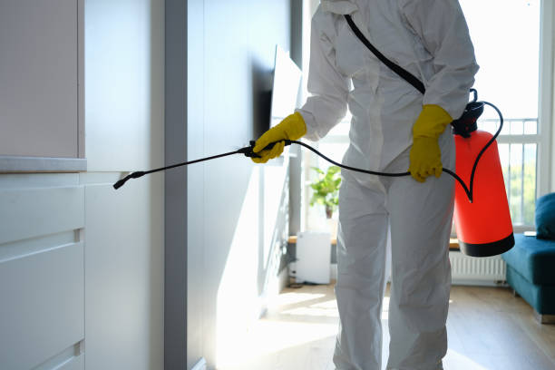 Best Crawl Space Mold Remediation in Woburn, MA